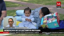 ¿Qué beneficios tiene la lactancia materna?