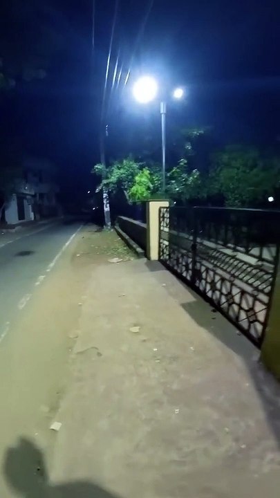 Serbian Dancing Lady Part 1 _ Indian Parkour  _  Dancing Lady _