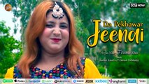 Da Pekhawar Jeenai | Pashto New Song 2023 | Arzoo Naaz