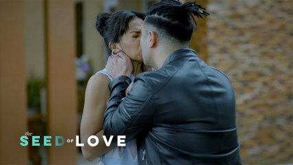 The Seed of Love: Will Peter give in to Alexa's orders again? (Episode 63)