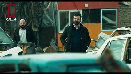 پێستی شێر 08