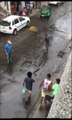 Pendant ce temps au brésil : un chien, des passants et un énorme anaconda dans la rue
