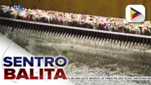 Problema sa drainage system sa Metro Manila, tinutugunan na ng MMDA