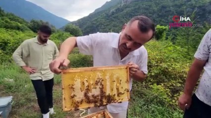 Arılar petek üzerine 'Allah' yazısı oluşturdu! Görüntü tüyleri diken diken etti