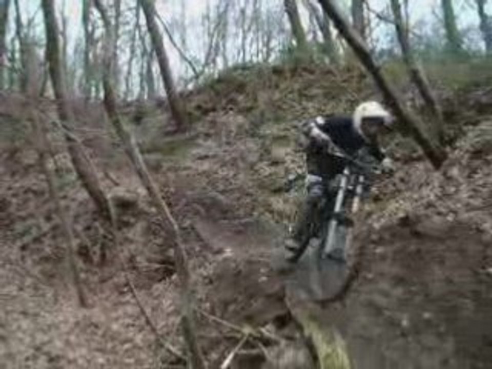 DH Spy 22