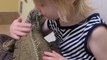 Compassionate little girl reassures and hugs her 17-year-old iguana at the vet clinic