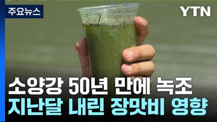 소양강 상류 50년 만에 첫 녹조 발생..."취수원 오염 가능성 작아" / YTN