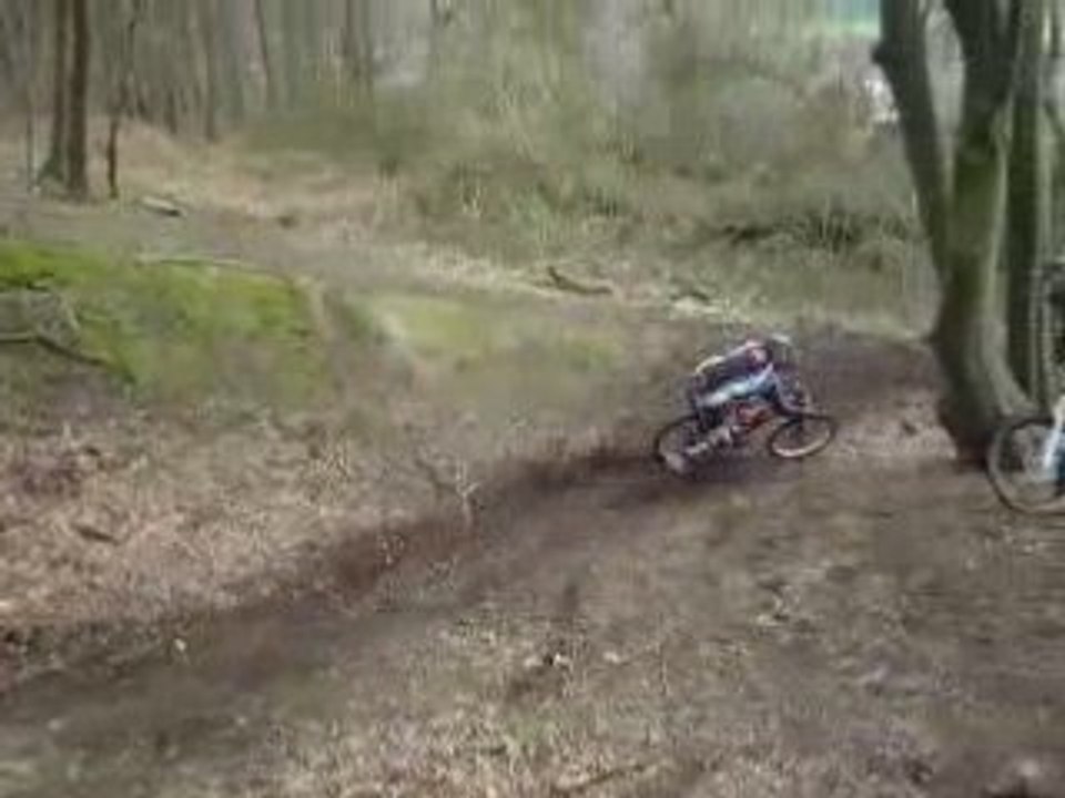 DH Spy 23