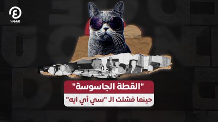 "القطة الجاسوسة".. حينما فشلت الـ "سي أي ايه"