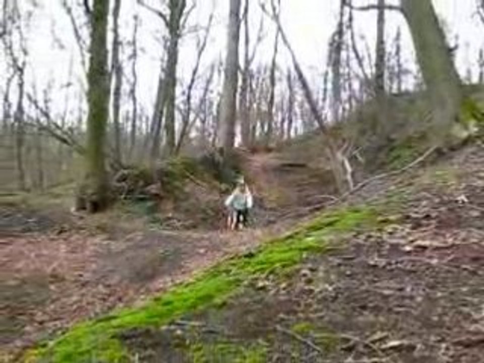 DH Spy 24