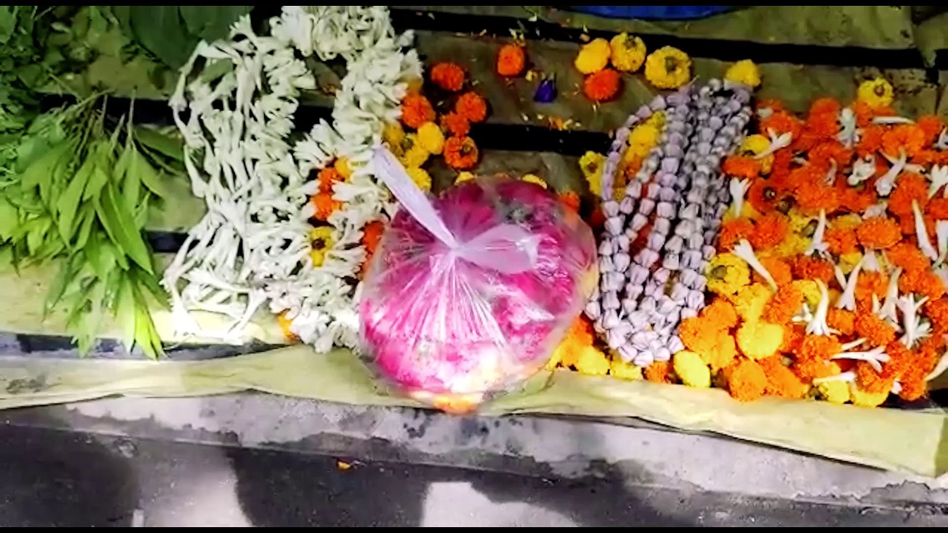 উত্তর ২৪ পরগনার ইছাপুরে দুষ্কৃতি তাণ্ডব! গুলিবিদ্ধ তৃণমূল কর্মী, এলাকায় জোর তল্লাশি