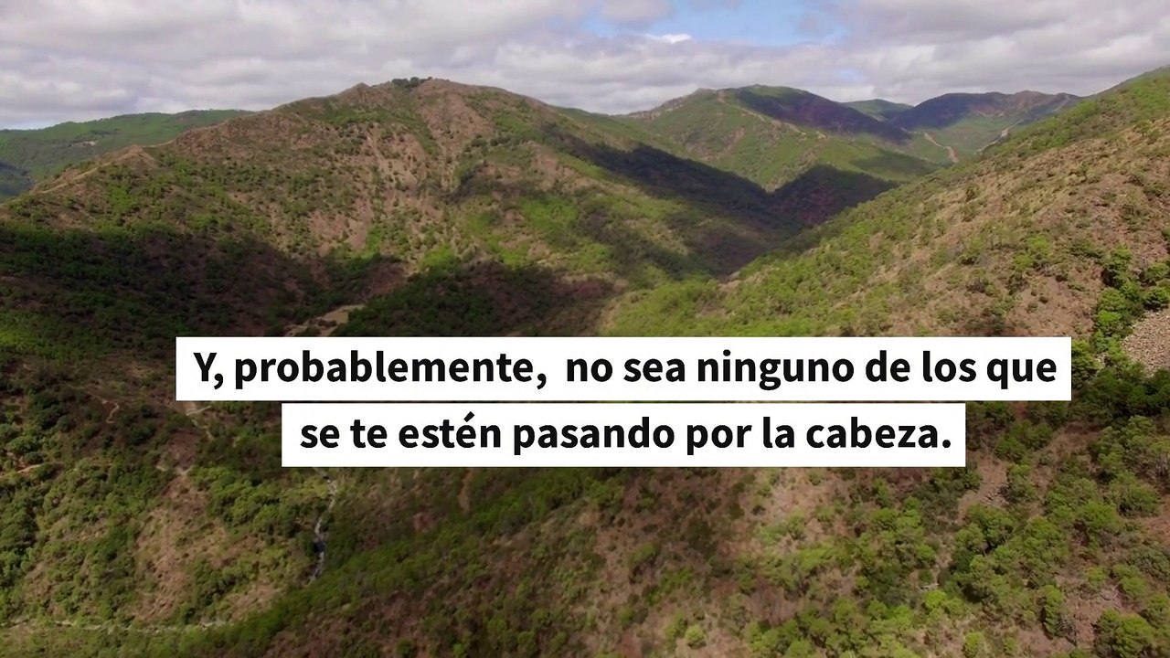 El mejor deporte para estar en forma toda tu vida, según Harvard, no da pereza y no se practica en el gimnasio