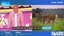 Cyril Hanouna pique une chroniqueuse à Matthieu Delormeau dans TPMP !