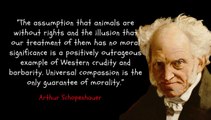 Unlocking the Power of Arthur Schopenhauer's Quotes