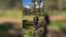 CHP Kars milletvekili İnan Akgün Alp, Sarıkamış ormanlarında kesilen ağaçları TBMM gündemine taşıdı: Sarıkamış ormanında ağaçlar neden kesiliyor?