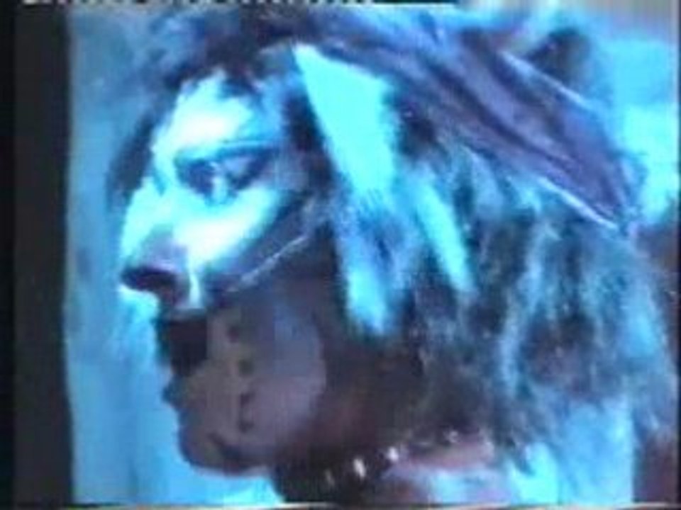 2000 Cats Ajaccio Sceneset  2