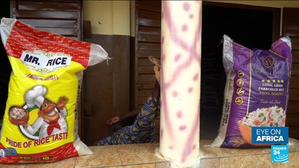 Benin - Nigeria: Relations between two countries improve as exports pick up