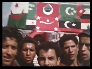 Découvrez la Lettre de la Cinémathèque Mikael Buch 🎬