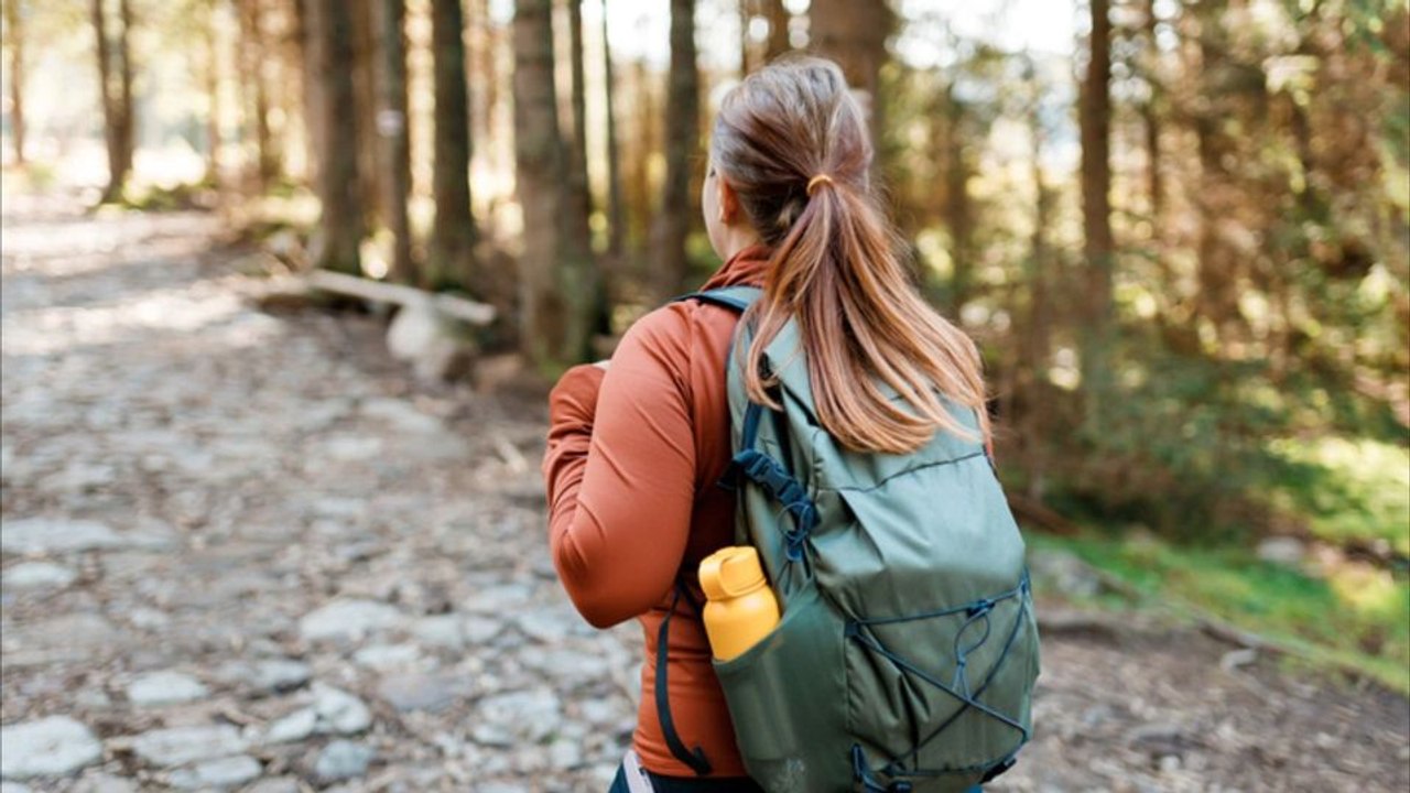 Deutsche auf Jakobsweg verschwunden – 100.000 Euro Belohnung