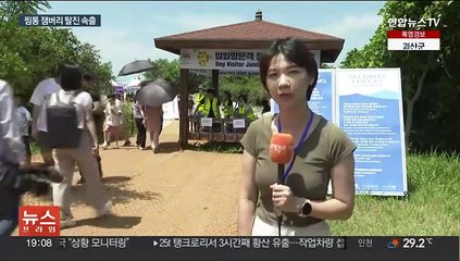 '찜통 잼버리' 오명 쓰나…탈진 속출에 당국 비상