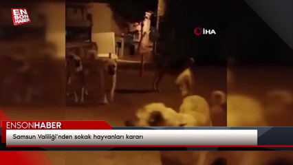 Samsun Valiliği’nden sokak hayvanları kararı