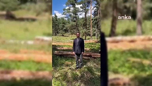 Le député du CHP, Inan Akgun Alp, a posé des questions sur les incendies de forêt et l'abattage d'arbres