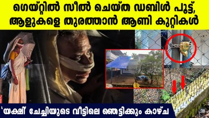 മുറ്റത്ത് ആണികുറ്റികൾ, കാലടിയിലെ പേടിപ്പിക്കും സ്ത്രീയുടെ വീട്ടിലെ നടുക്കുന്ന കാഴ്ച
