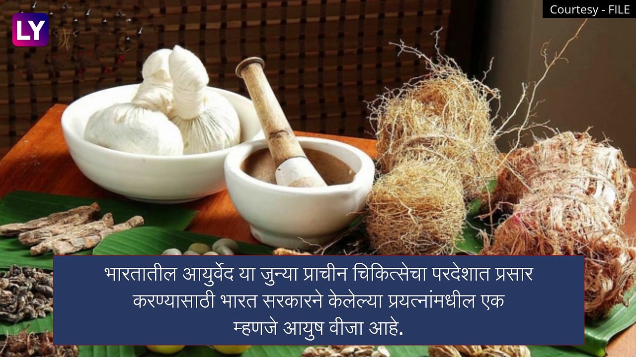 Ayush Visa: भारतात प्राचीन आयुर्वेदिक उपचार शिकण्यासाठी परदेशी नागरिकांना मिळणार \'आयुष व्हिसा\'