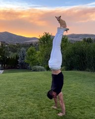 This Man And Pup Perform INCREDIBLE Stunts!