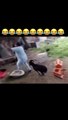 Don’t laugh please  _Funny moments! THE END _funnypictures _FunnyPinns -SofiaFunnyPin _FunnyOrDie _funnyordie -funnyvideos _FunnyQuotes
