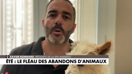 Xavier Bonnard : «Les gens abandonnent leurs animaux pour des raisons plus ou moins obscures»