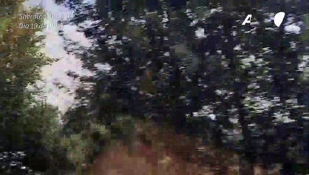 Incêndios florestais no Canadá geraram recorde de emissões de carbono