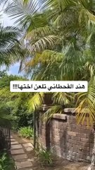 الظهور الأول لأخت هند القحطاني