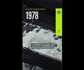 Haute-Normandie, 1978 : les pesticides tuent les abeilles