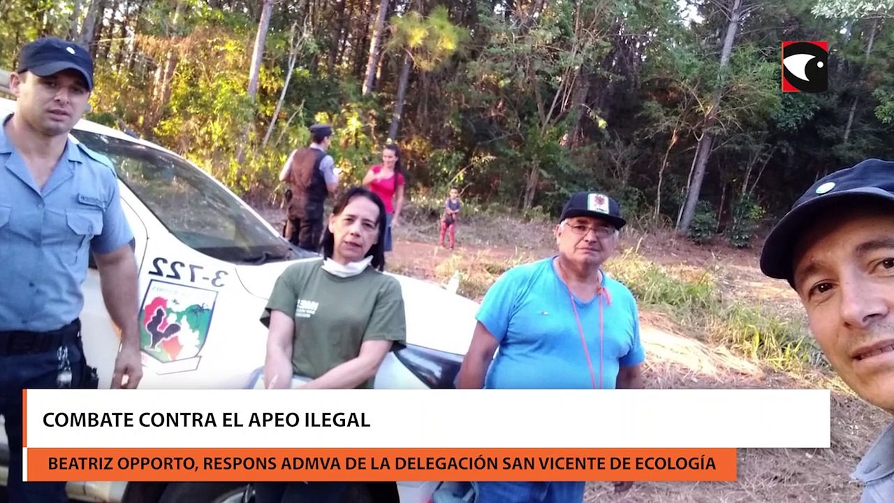 Combate contra el apeo ilegal