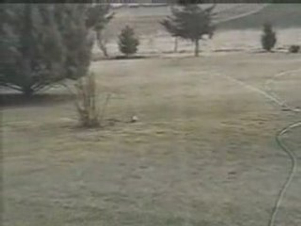 RABBIT VERSUS SNAKE