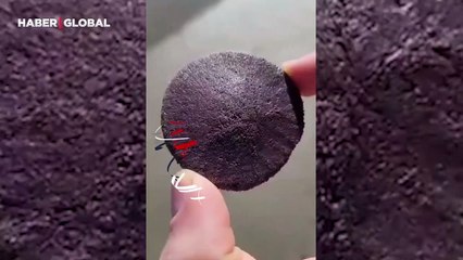 Karaya vuran bu ilginç canlı görenlerin tüylerini diken diken etti!