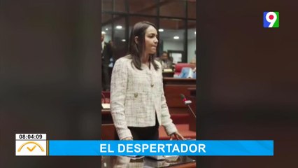 Faride Raful hace denuncia sobre candidatos con procesos abiertos | El Despertador SIN
