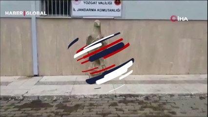 Yozgat’ta 1,5 metre boyunda kartal figürlü tarihi eser ele geçirildi