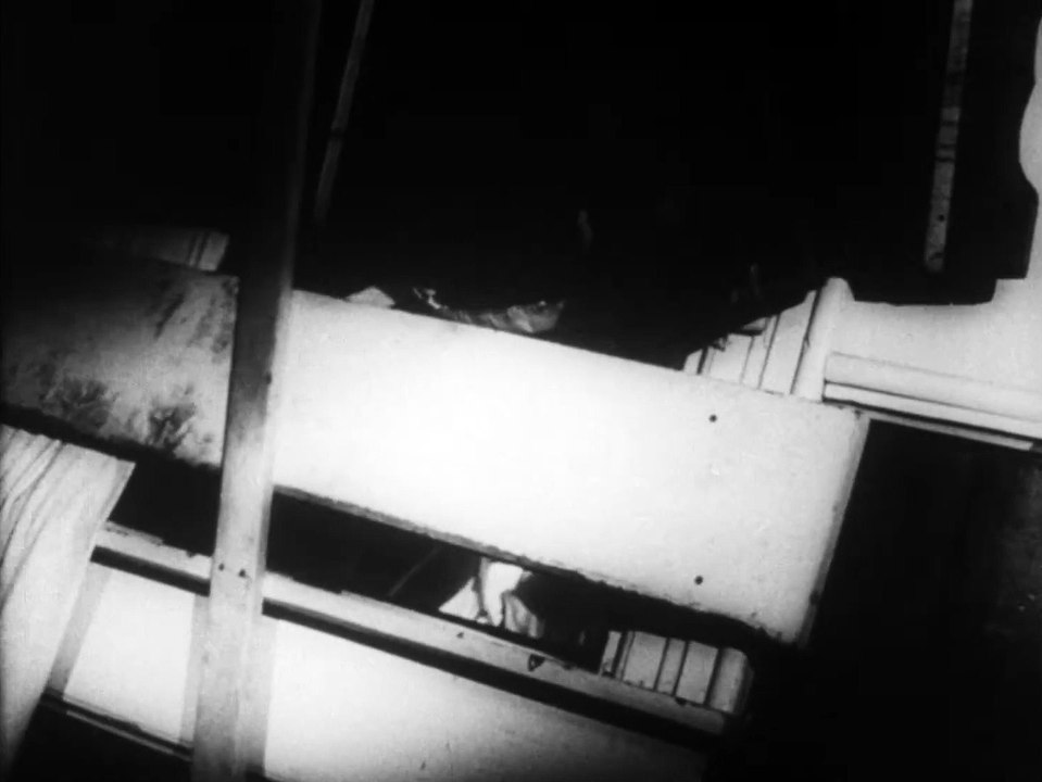 'La noche de los muertos vivientes', tráiler