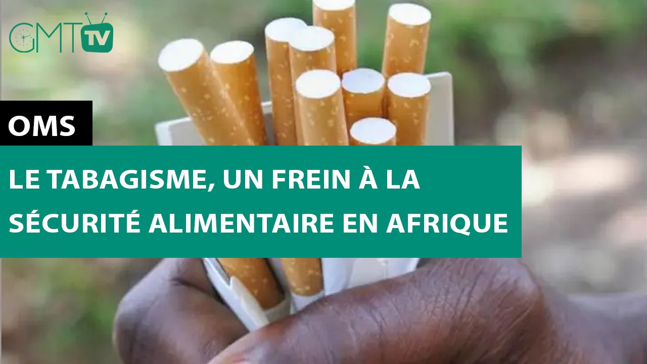 [#Reportage] OMS : le tabagisme, un frein à la sécurité alimentaire en Afrique