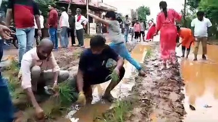 Video herunterladen: देखो.. अनोखा प्रदर्शन, Bhilai भाजयुमो ने खराब सड़कों पर रोपा धान