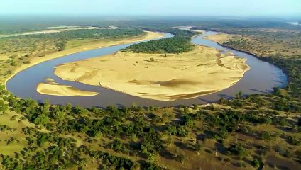 The Dark Side of Lions  A Lion's Brutal Revenge