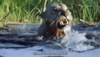 The King's fall And Death