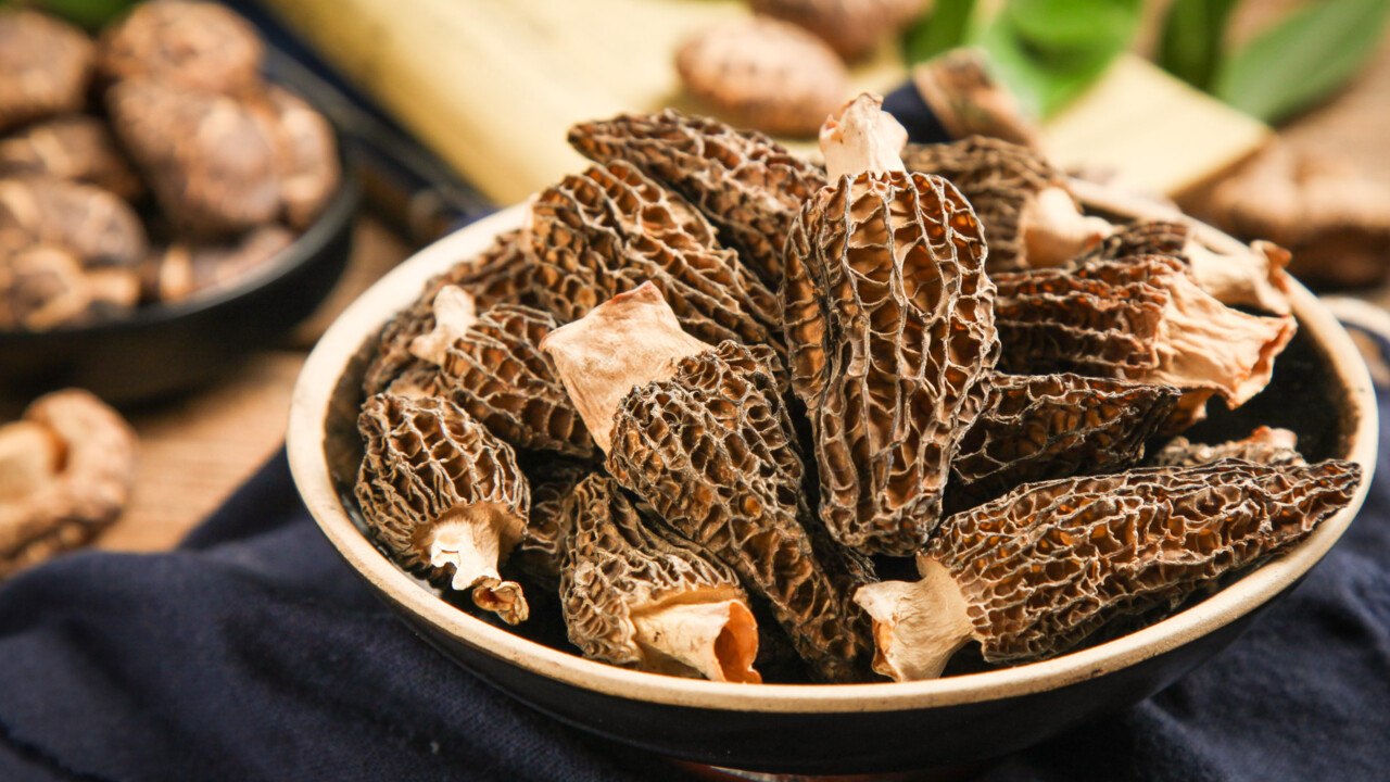 Everything You Need to Know About Morel Mushrooms—Including How to Find, Wash, and Cook Them