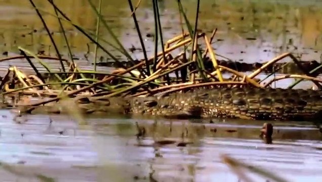 What Goes Around Comes Back Around