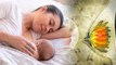 World Breastfeeding Week 2023 : New Moms को क्या Food खाना चाहिए, Nutritional Diet Tips | Boldsky