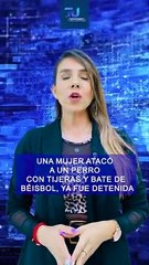 Detienen a una mujer por agredir a un canino usando tijeras y un bate de béisbol  #TuNotiReel