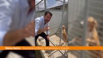Salvini visita canile 
