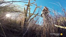 It Doesn’t Take Long to Spot Snakes in the Chihuahuan Desert